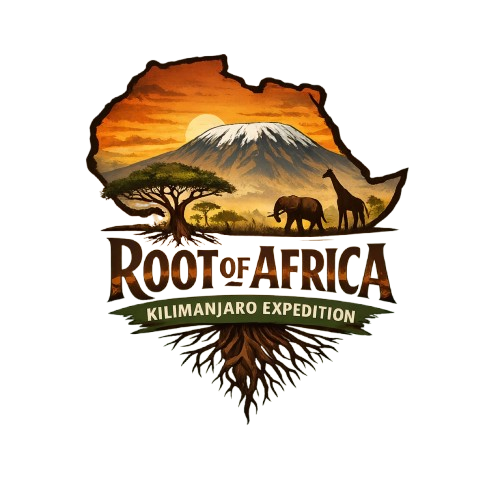 Root of Africa Kilimanjaro Expedition
