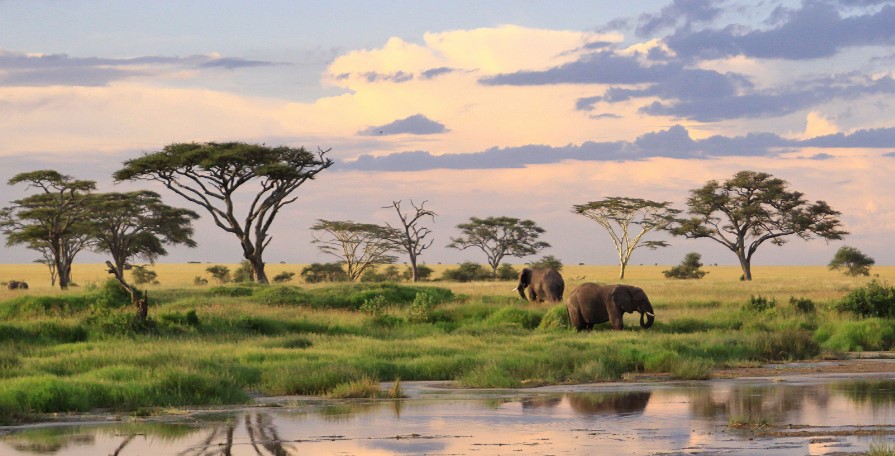 2 Days Tarangire & Lake Manyara Safari