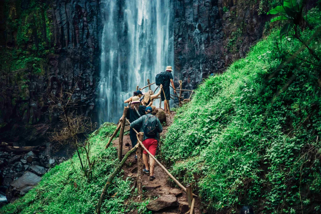 Materuni Waterfall & Coffee Tour