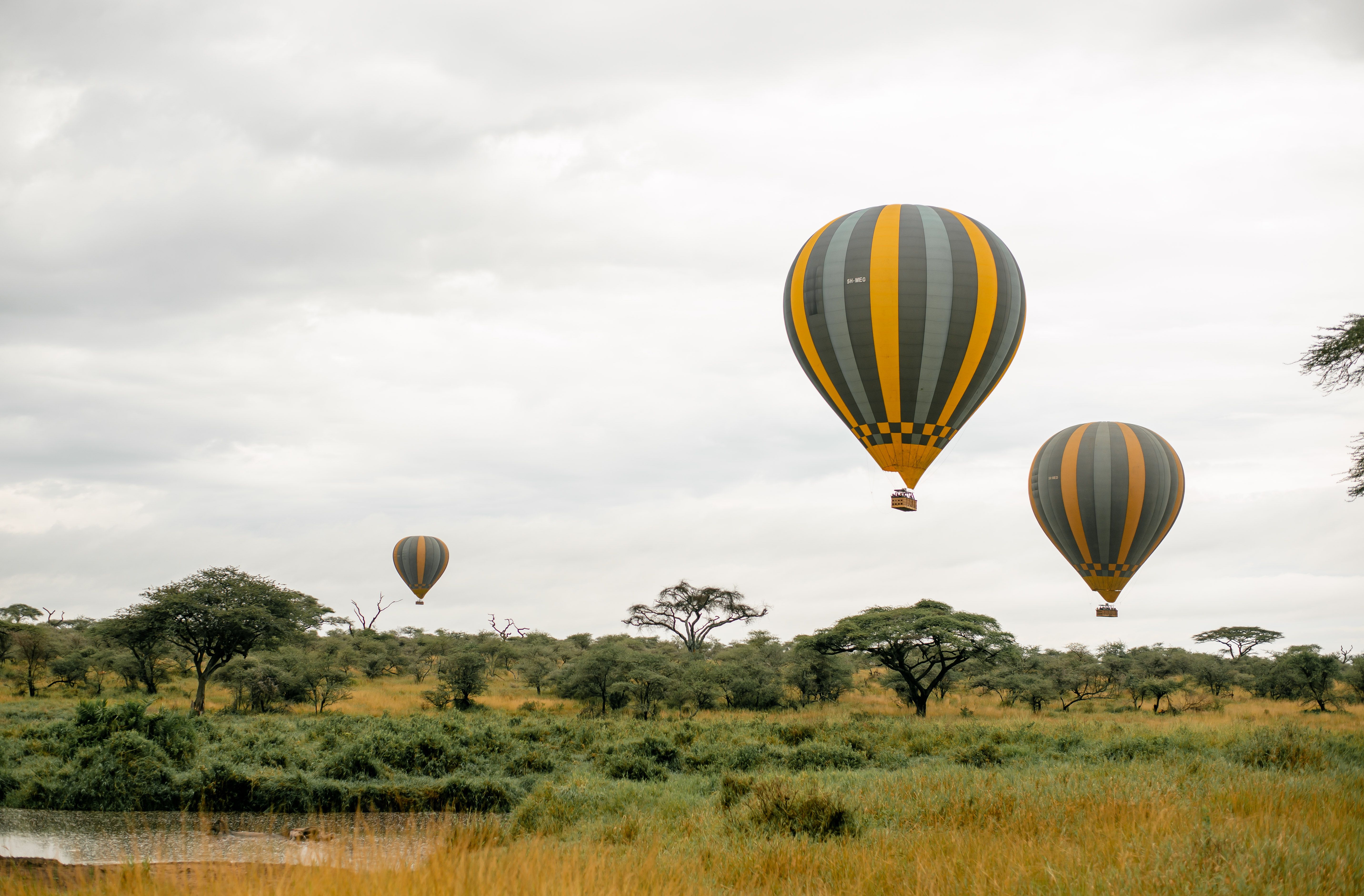 5-day-safari